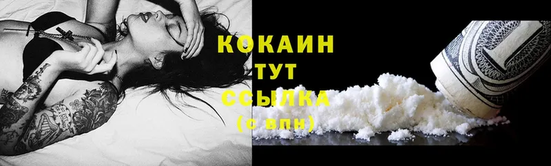 Cocaine FishScale  Новосибирск 